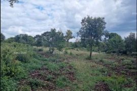 Poljoprivredno zemljište Prodajemo 8 parcela, Marčana, Tierra