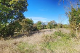 Građevinsko zemljište okolica Višnjana, Istra, Višnjan, Land