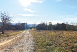 Građevinsko zemljište sa kamenom kućom, Grožnjan, Istra, Grožnjan, Land