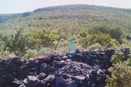 Otok Hvar, Stari Grad, Grablje, vinograd cca. 50000m2, Hvar, Terreno
