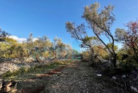 Vrbnik, okolica, Građevinsko zemljište s predanom dokumentacijom, prodaja, Vrbnik, Arazi