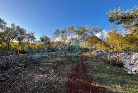 Vrbnik, okolica, Građevinsko zemljište 757 s predanom dokumentacijom, prodaja, Vrbnik, Land