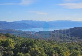 Crikvenica, Bribir- imanje sa 2 kuće i parcelom od 1778m2, prodaja, Vinodolska Općina, Maison