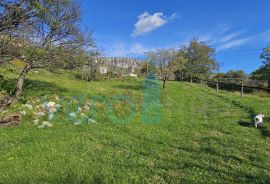 Crikvenica, Bribir- imanje sa 2 kuće i parcelom od 1778m2, prodaja, Vinodolska Općina, Haus