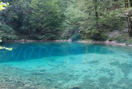 Gorski kotar, Begovo Razdolje, Goranska kuća s pomoćnim objektom u zelenilu, prodaja, Mrkopalj, House