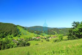 Gorski kotar, Begovo Razdolje, Goranska kuća s pomoćnim objektom u zelenilu, prodaja, Mrkopalj, House