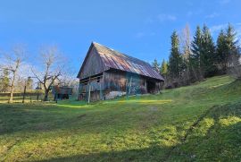 Tršće, okolica, Čabar, goranska kuća 120 m2 sa sjenikom, prodaja, Čabar, Kuća