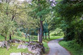 Karlovac, Tounj, novouređena kuća sa okućnicom 5900 m2 i bazenom, prodaja, Tounj, Σπίτι