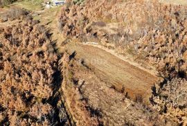 ISTRA, TINJAN - Građevinsko zemljište na rubu naselja, Tinjan, Arazi