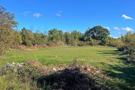 ISTRA, TINJAN - Građevinsko zemljište na rubu naselja, Tinjan, Terreno