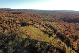 ISTRA, TINJAN - Građevinsko zemljište na rubu naselja, Tinjan, أرض