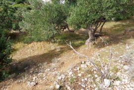 Građevinsko zemljište sa prekrasnim pogledom na more., Rab, Arazi