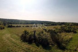 VELIKO POLJOPRIVREDNO ZEMLJIŠTE, Labin, Land