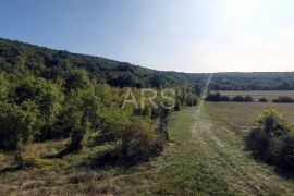 VELIKO POLJOPRIVREDNO ZEMLJIŠTE, Labin, Terreno