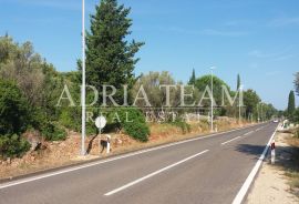 GRAĐEVINSKO ZEMLJIŠTE S POGLEDOM NA MORE, 190 M OD MORA, PAŠMAN - ŽDRELAC, Pašman, Zemljište