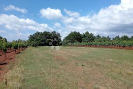 Lijepa parcela u blizini Juršića, Svetvinčenat, Land