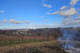 OVO MORATE VIDJETI!, Sveti Ilija, Terra