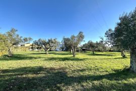 EKSKLUZIVNO - Prostrano zemljište na lijepoj lokaciji, Vodnjan, Land