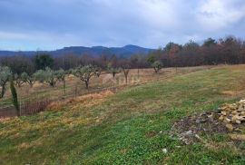 ISTRA,BOLJUN - Građevinsko zemljište na odličnoj lokaciji, Lupoglav, Земля