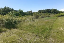 ISTRA, SVETVINČENAT - Poljoprivredno zemljište na rubu urbanizacije, Svetvinčenat, Land