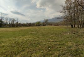 Poljoprivredno zemljište na 13 km od Podgorice, Podgorica, Terreno