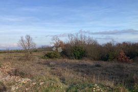 IZUZETNA INVESTICIJSKA PRILIKA  22 895 m2, Marčana, Terrain