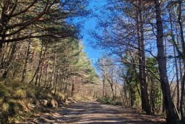 ISTRA, LUPOGLAV - Prostrano zemljište u podnožju PP Učka, Lupoglav, Terrain