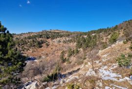 ISTRA, LUPOGLAV - Prostrano zemljište u podnožju PP Učka, Lupoglav, Terrain