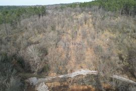 KLANA- građevinsko zemljište 23493m2 za stambenu zgradu – stanove/ apartmane/ obiteljsku kuću/ villu/ kuću za iznajmljivanje- odmor s bazenom, Klana, Γη