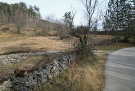 KLANA- građevinsko zemljište 23493m2 za stambenu zgradu – stanove/ apartmane/ obiteljsku kuću/ villu/ kuću za iznajmljivanje- odmor s bazenom, Klana, Land