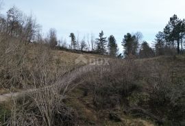 KLANA- građevinsko zemljište 23493m2 za stambenu zgradu – stanove/ apartmane/ obiteljsku kuću/ villu/ kuću za iznajmljivanje- odmor s bazenom, Klana, Terrain