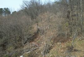 KLANA- građevinsko zemljište 23493m2 za stambenu zgradu – stanove/ apartmane/ obiteljsku kuću/ villu/ kuću za iznajmljivanje- odmor s bazenom, Klana, Terreno