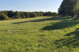 Građevinsko zemljište Prodaje se građevinsko zemljište, Marčana, Marčana, Land