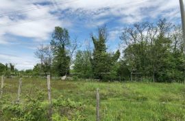 Građevinsko zemljište Prodaje se građevinsko zemljište, Višnjan, Višnjan, Land