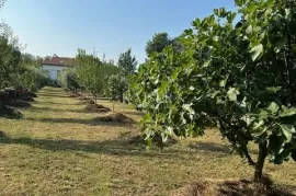 Otok Krk, Malinska - kuća s maslinikom i pogledom na more, Malinska-Dubašnica, Дом