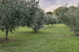 Otok Krk, Malinska - kuća s maslinikom i pogledom na more, Malinska-Dubašnica, Дом