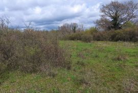 Građevinsko zemljište od 970 m2, okolica Marčane, Marčana, Land