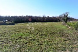 PROSTRANO GRAĐEVINSKO ZEMLJIŠTE, Marčana, Terreno