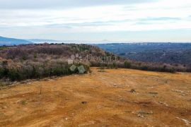 Prilika za investitore! Prostrano građevinsko zemljište, Barban, Terrain