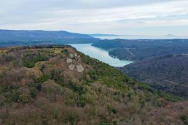 Prilika za investitore! Prostrano građevinsko zemljište, Barban, Arazi