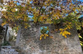 Kamena ruševina blizu Grožnjana, Grožnjan, Casa