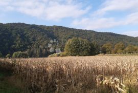 Građevinsko zemljište na jezeru Bukovnik, Ogulin, Terreno