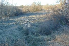 Poljoprivredno zemljište u okolici Cera, Žminj, Terrain