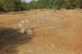 GRAĐEVINSKO ZEMLJIŠTE U PAVIĆINI, Marčana, Terrain