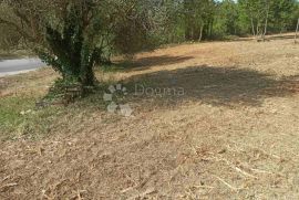 GRAĐEVINSKO ZEMLJIŠTE U PAVIĆINI, Marčana, Land