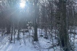 Građevinsko zemljište u blizini Liča, Vinodolska Općina, Terrain