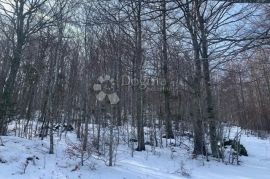 Građevinsko zemljište u blizini Liča, Vinodolska Općina, Land