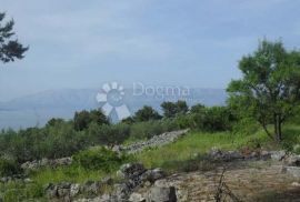 POLJOPRIVREDNO ZEMLJIŠTE 11886 M2, HVAR, Jelsa, Γη