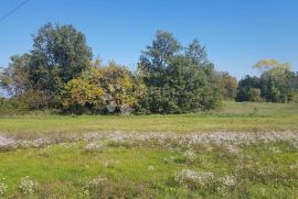 Kompleks građevinskog i poljoprivrednog zemljišta, okolica Labina, Sveta Nedelja, Land