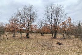 KANFANAR – bajkovita parcela, suhozid, 1 km do centra, Kanfanar, Tierra